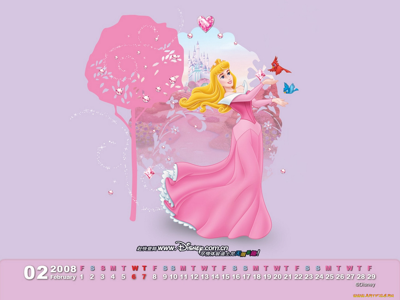 , sleeping, beauty